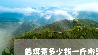 普洱茶多少钱一斤哪里有卖/2023051133926