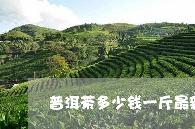 普洱茶多少钱一斤最新/2023061546250