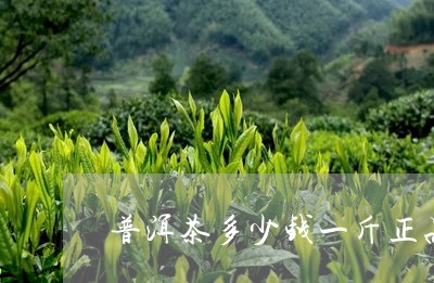 普洱茶多少钱一斤正品/2023072183126