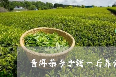 普洱茶多少钱一斤靠谱/2023092533805