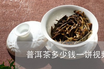 普洱茶多少钱一饼视频/2023061643747