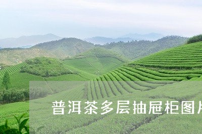 普洱茶多层抽屉柜图片大全/2023112442695