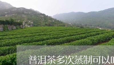 普洱茶多次蒸制可以吗/2023120605038