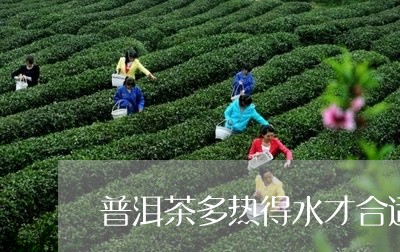 普洱茶多热得水才合适/2023092935369