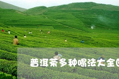 普洱茶多种喝法大全图片/2023050675937