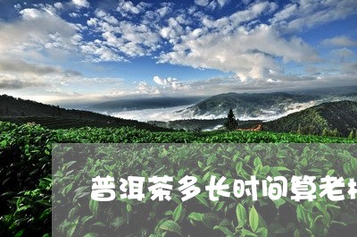 普洱茶多长时间算老树枝/2023050508370