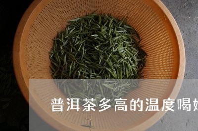 普洱茶多高的温度喝好/2023121616260