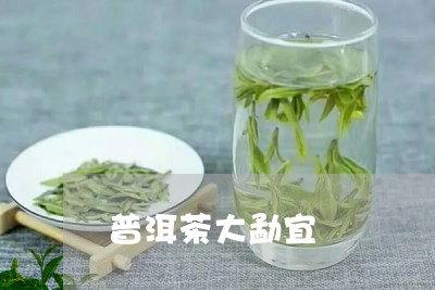 普洱茶大勐宜/2023042525852