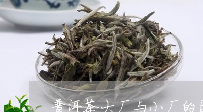 普洱茶大厂与小厂的区别/2023102441514