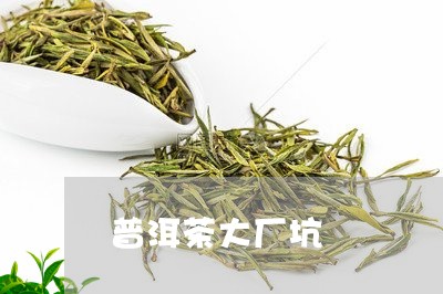 普洱茶大厂坑/2023042897742