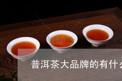 普洱茶大品牌的有什么特点/2023121693936