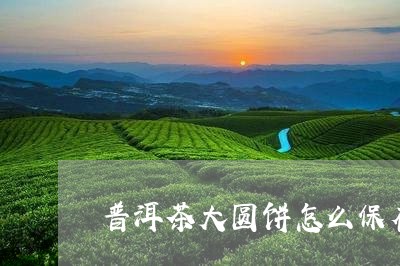 普洱茶大圆饼怎么保存/2023062704072