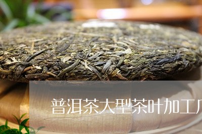 普洱茶大型茶叶加工厂/2023101718379