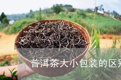 普洱茶大小包装的区别/2023092836069