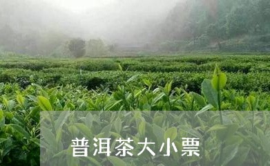 普洱茶大小票/2023042630645