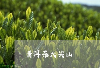 普洱茶大尖山/2023042686486