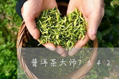 普洱茶大师7542/2023091443815