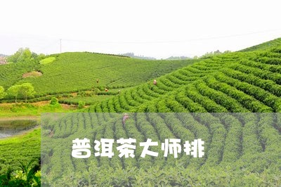 普洱茶大师排/2023042612812