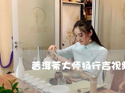 普洱茶大师杨行吉视频/2023061922616