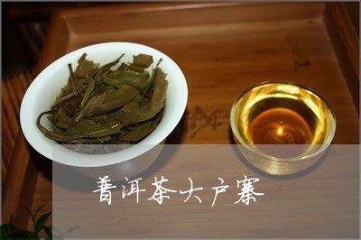 普洱茶大户寨/2023091305947