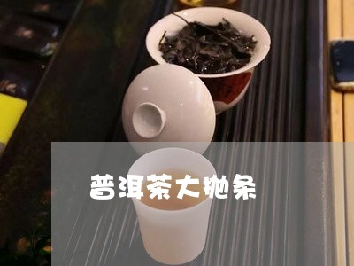 普洱茶大抛条/2023101607148