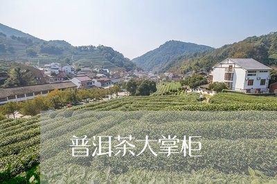 普洱茶大掌柜/2023101680493