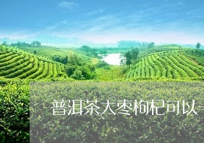 普洱茶大枣枸杞可以一起煮茶吗/2023053025937