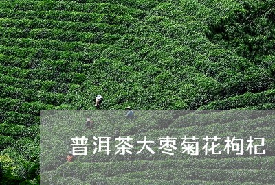 普洱茶大枣菊花枸杞/2023070988361