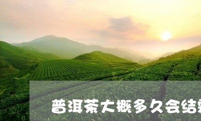 普洱茶大概多久会结霜/2023100623026