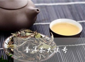 普洱茶大滇号/2023042975360