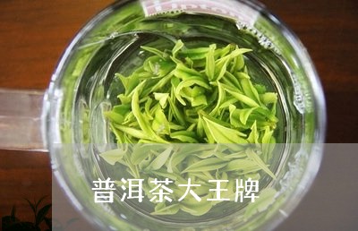 普洱茶大王牌/2023042775413