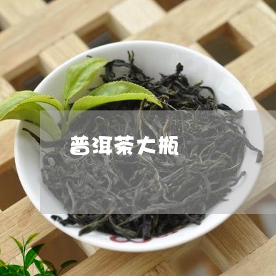 普洱茶大瓶/2023083064938