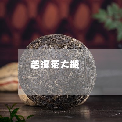 普洱茶大瓶/2023110635148