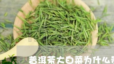 普洱茶大白菜为什么贵/2023062020583