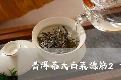 普洱茶大白菜橡筋2号/2023092619583