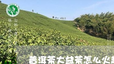 普洱茶大益茶怎么火起来的/2023110261694