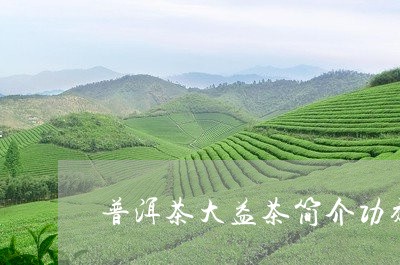 普洱茶大益茶简介功效/2023080200514