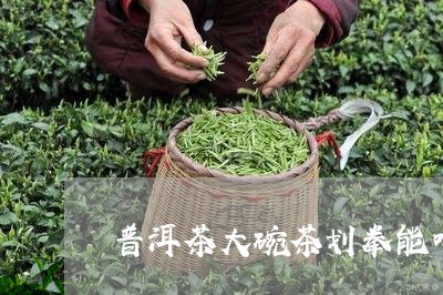 普洱茶大碗茶划拳能喝吗/2023112472829