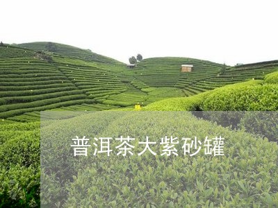 普洱茶大紫砂罐/2023102670494