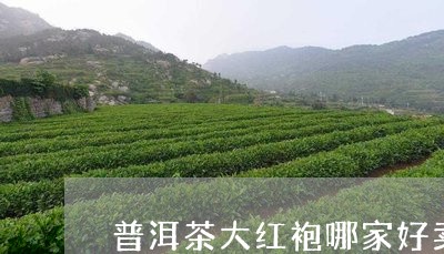 普洱茶大红袍哪家好卖的/2023050494849