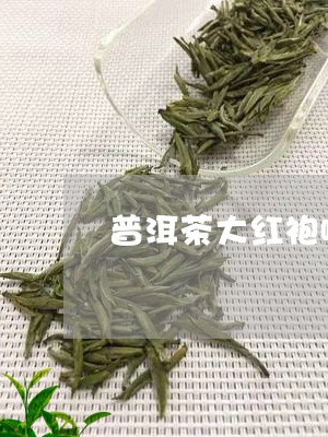 普洱茶大红袍哪种好喝/2023120733927