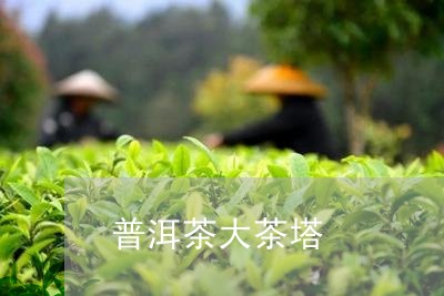 普洱茶大茶塔/2023042867775