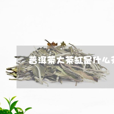 普洱茶大茶缸是什么茶种/2023081493047