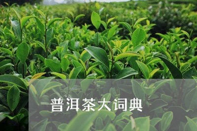 普洱茶大词典/2023042747472