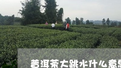 普洱茶大跳水什么意思啊/2023050587462