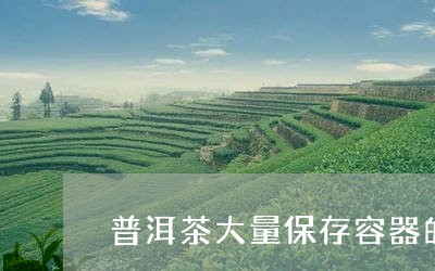 普洱茶大量保存容器的原因/2023112528161