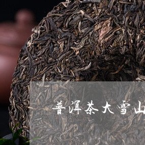 普洱茶大雪山有什么茶/2023062206058