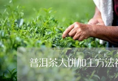 普洱茶大饼加工方法视频/2023081484029