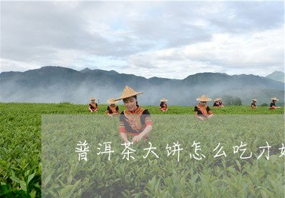 普洱茶大饼怎么吃才好喝/2023121640715