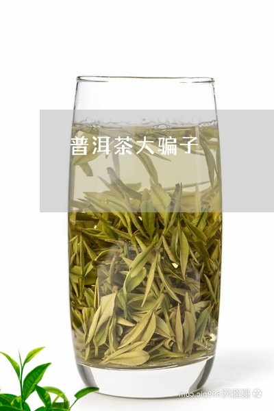 普洱茶大骗子/2023042680846